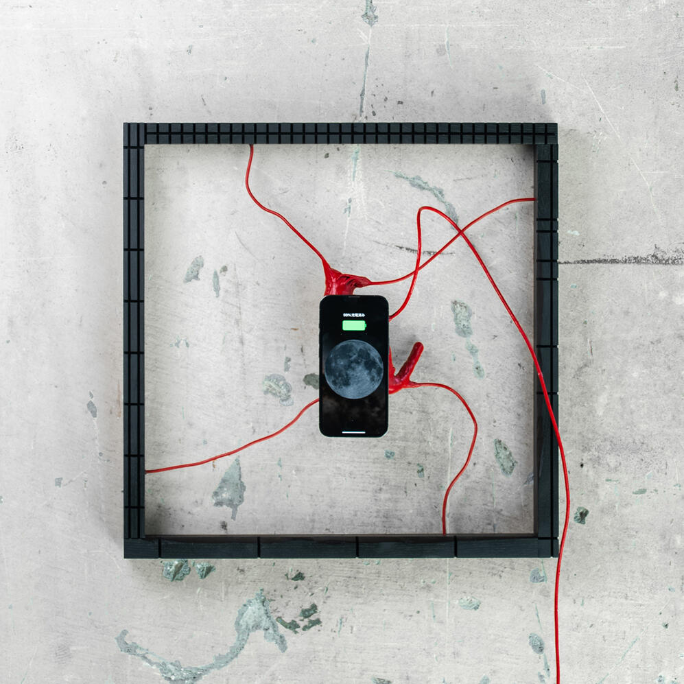 Your Heart Specimen / 2025